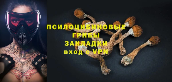 кокс Богородицк