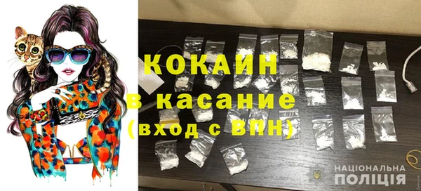 кокс Богородицк