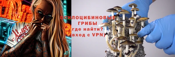 МДПВ Богданович