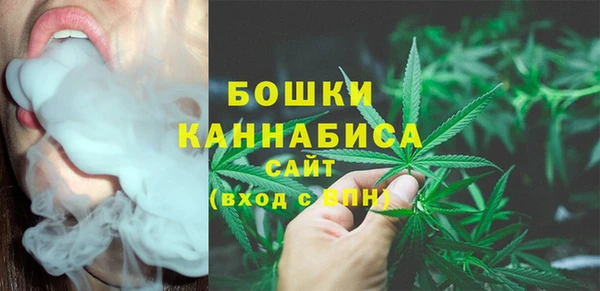 кокс Богородицк