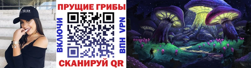 Галлюциногенные грибы MAGIC MUSHROOMS  Бородино 